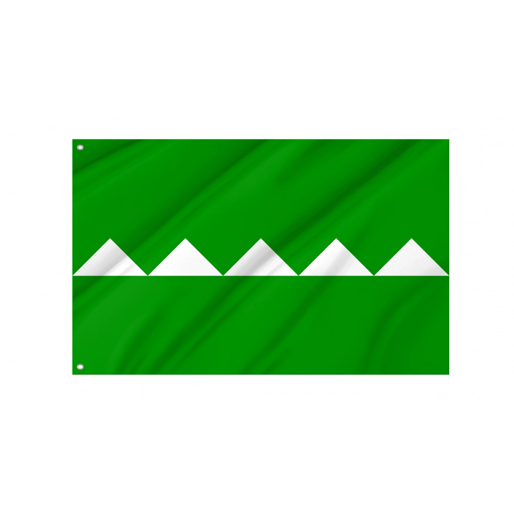 Salinas Flag for Indoor & Outdoor Use