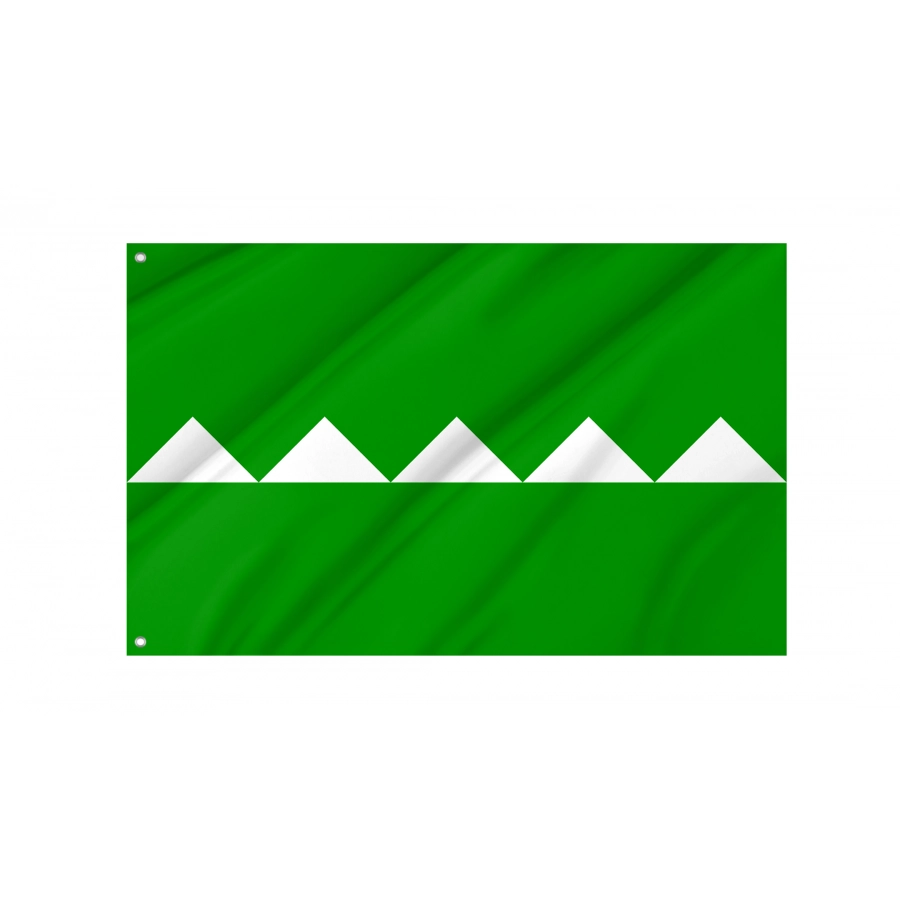 Flag Of Salinas, Puerto Rico, Patriotic Flags, Unique Design Print, Flags For Indoor & Outdoor Use - High Quality Puerto Rico for Indoor and Outdoor Use