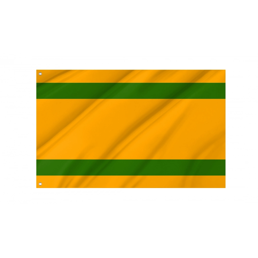 Flag Of Naranjito, Puerto Rico, Patriotic Flags, Unique Design Print, Flags For Indoor & Outdoor Use - High Quality Puerto Rico for Indoor and Outdoor Use
