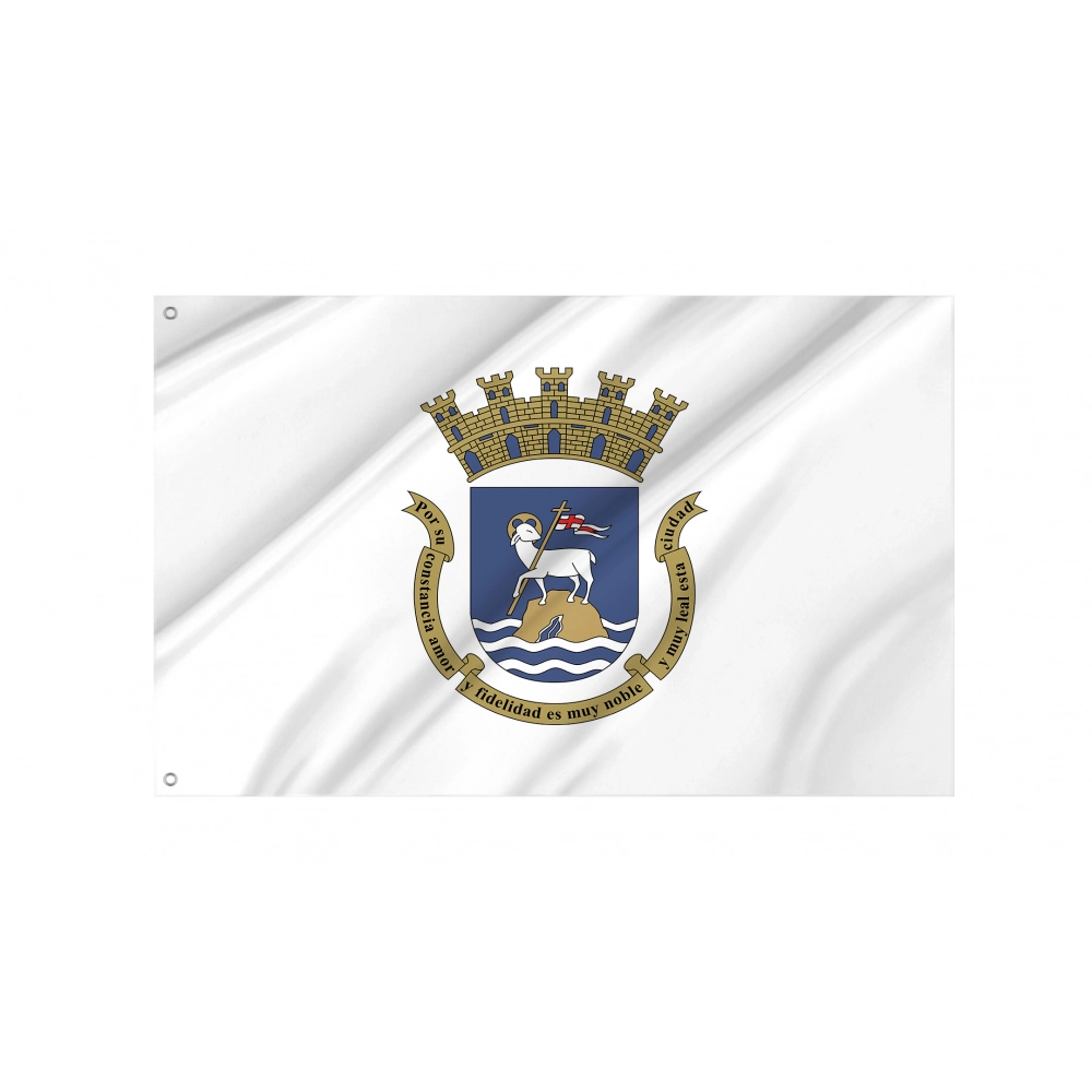 San Juan Flag for Indoor & Outdoor Use