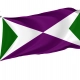 Yabucoa Flag for Indoor & Outdoor Use - Imagine 1