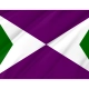 Yabucoa Flag for Indoor & Outdoor Use - Imagine 2
