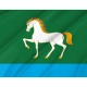 Abzelilovsky Flag for Indoor & Outdoor Use - Imagine 2