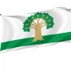 Arkhangelsky Flag for Indoor & Outdoor Use - Imagine 1