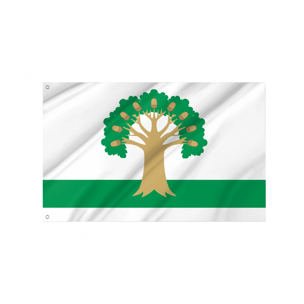 Arkhangelsky Flag for Indoor & Outdoor Use