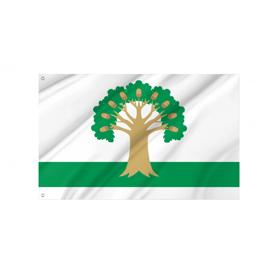 Flag Of Arkhangelsky, Patriotic Flags, Unique Design Print, Flags For Indoor & Outdoor Use - High Quality Russia for Indoor and Outdoor Use