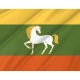 Baymaksky Flag for Indoor & Outdoor Use - Imagine 2