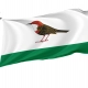 Birsk Flag for Indoor & Outdoor Use - Imagine 1