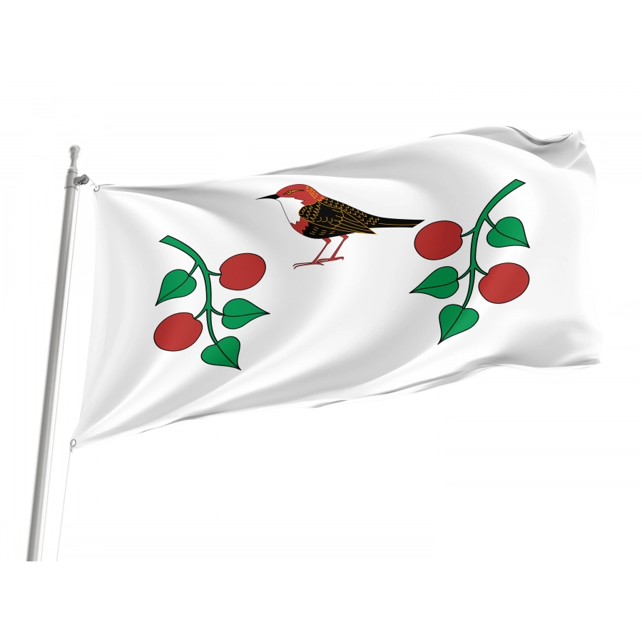 Flag Of Birsky Rayon, Patriotic Flags, Unique Design Print, Flags For Indoor & Outdoor Use - High Quality Russia for Indoor and Outdoor Use
