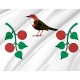 Birsky Rayon Flag for Indoor & Outdoor Use - Imagine 2