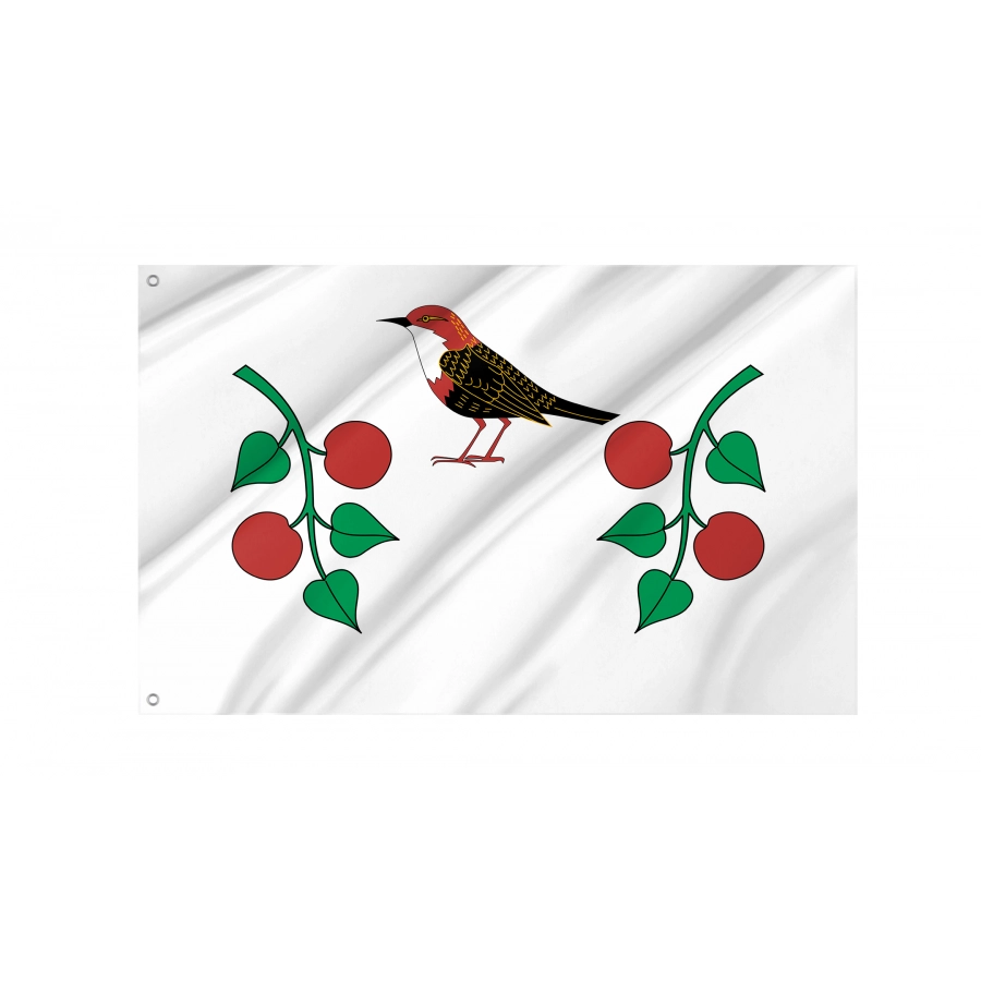 Flag Of Birsky Rayon, Patriotic Flags, Unique Design Print, Flags For Indoor & Outdoor Use - High Quality Russia for Indoor and Outdoor Use