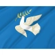 Blagoveschensk Flag for Indoor & Outdoor Use - Imagine 2