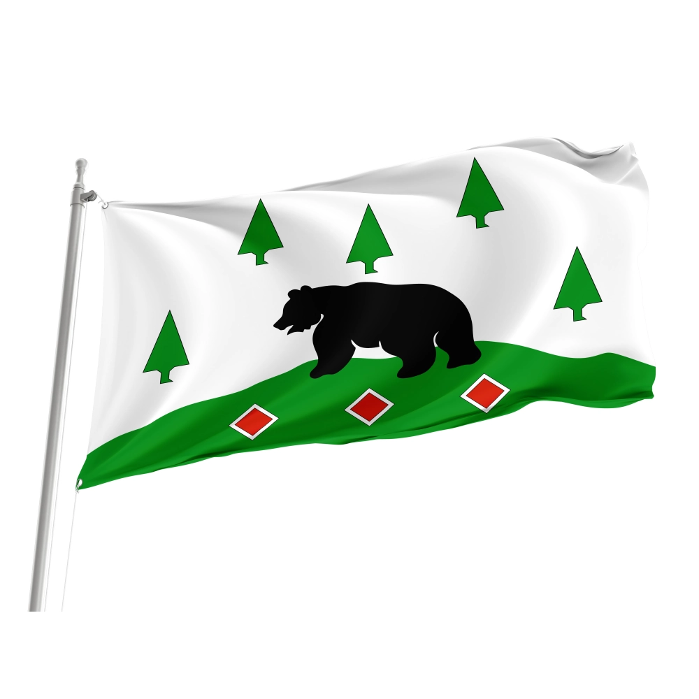 Boksitogorsky Rayon Flag for Indoor & Outdoor Use