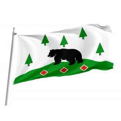 Boksitogorsky Rayon Flag for Indoor & Outdoor Use