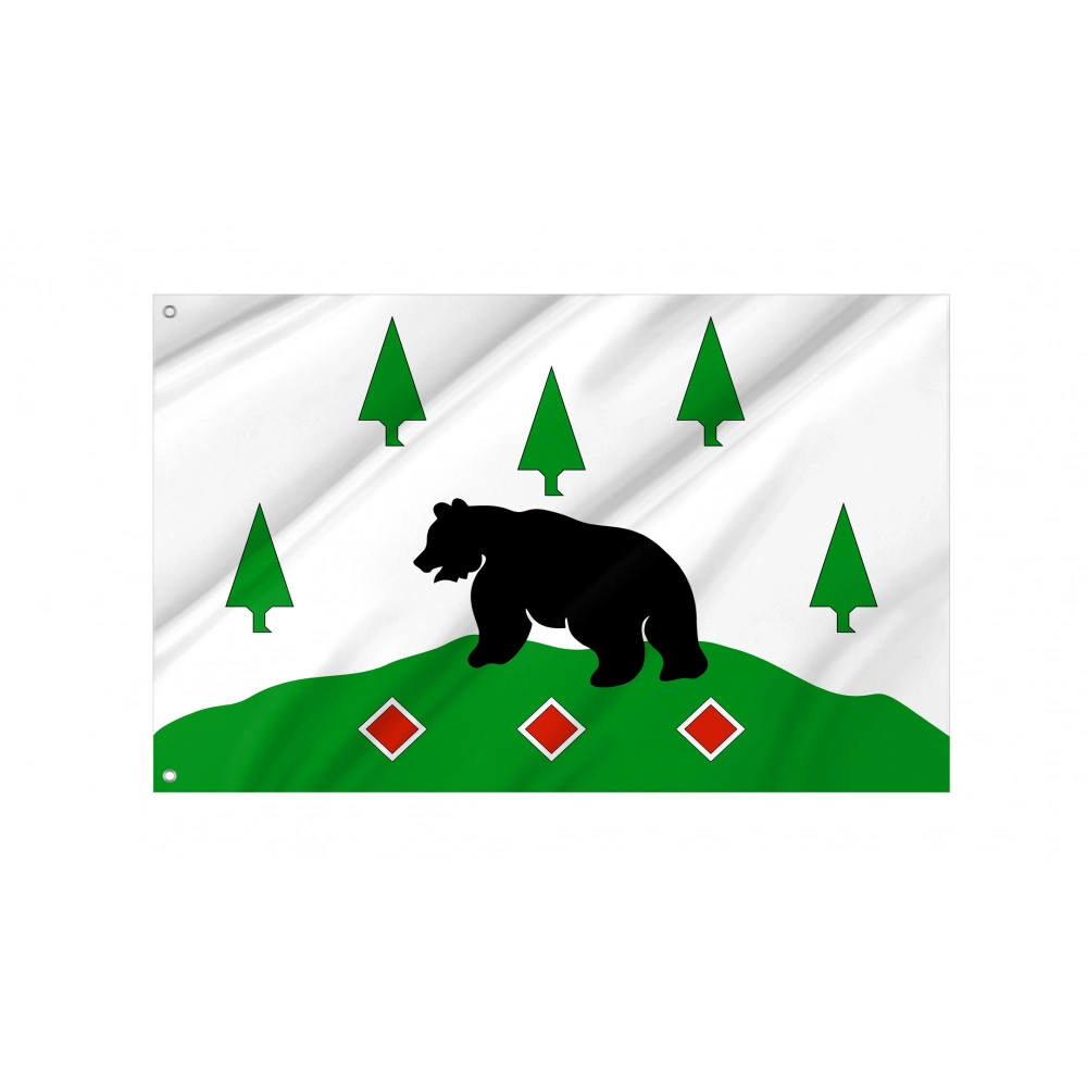 Boksitogorsky Rayon Flag for Indoor & Outdoor Use