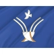 Chekmagushevsky Rayon Flag for Indoor & Outdoor Use - Imagine 2