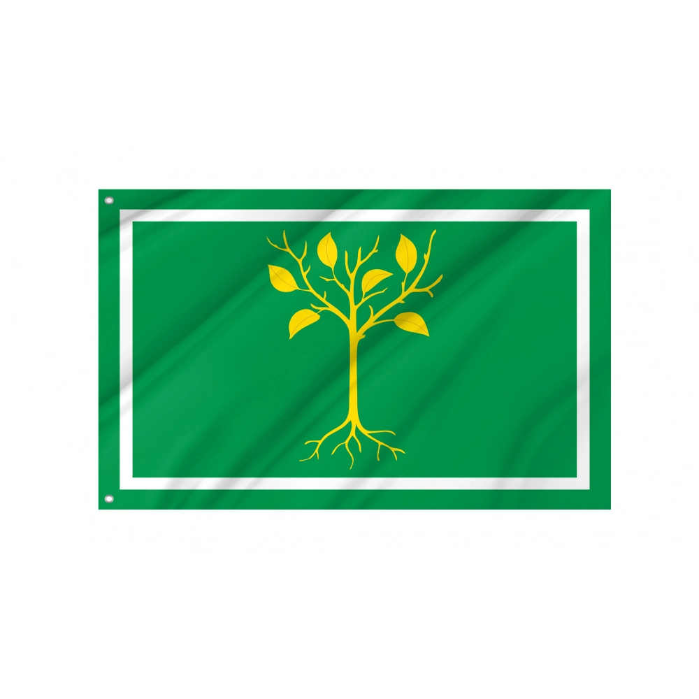 Chertanovo Tsentralnoye Flag for Indoor & Outdoor Use