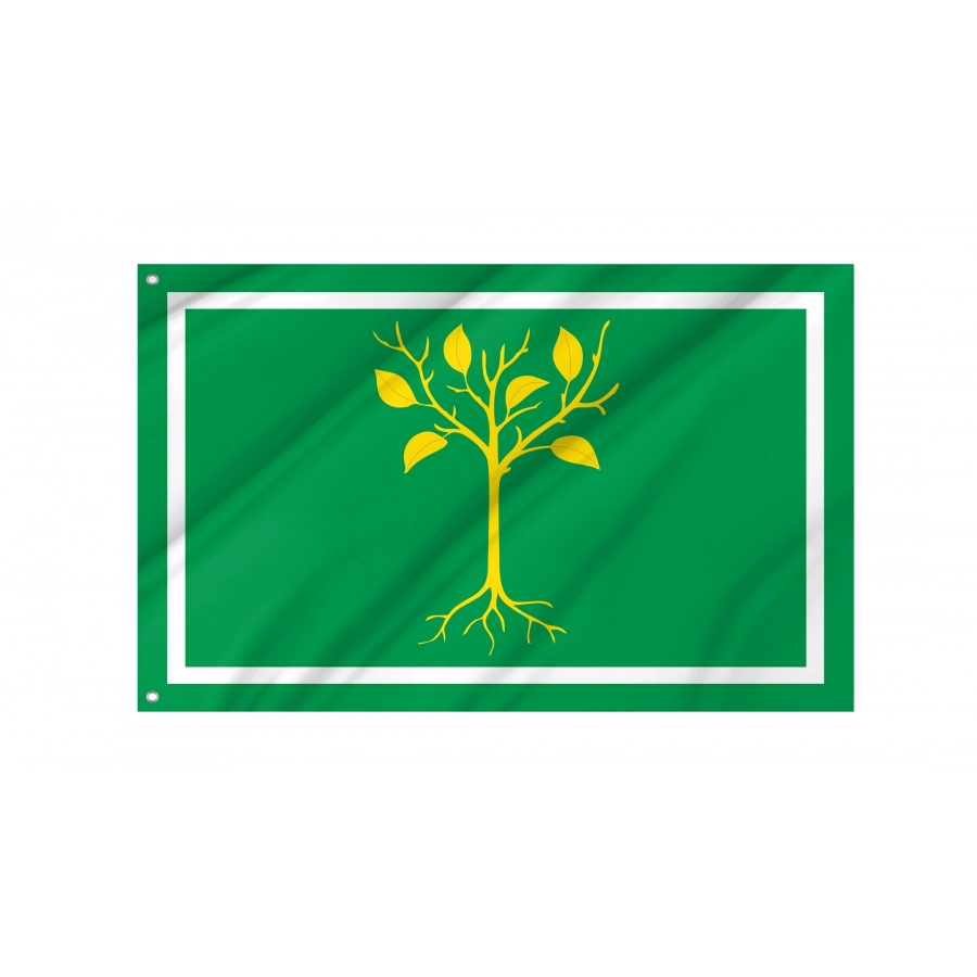 Flag Of Chertanovo Tsentralnoye, Patriotic Flags, Unique Design Print, Flags For Indoor & Outdoor Use - High Quality Russia for Indoor and Outdoor Use