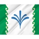 Gafuriysky Rayon Flag for Indoor & Outdoor Use - Imagine 2