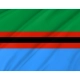 Kalevalsky District Flag for Indoor & Outdoor Use - Imagine 2