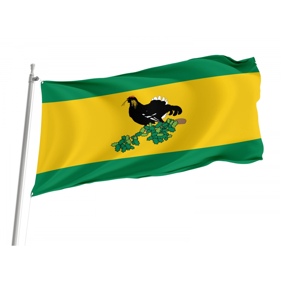 Flag Of Kaltasinsky Rayon, Unique Design Print, Flags For Indoor & Outdoor Use - High Quality Russia for Indoor and Outdoor Use