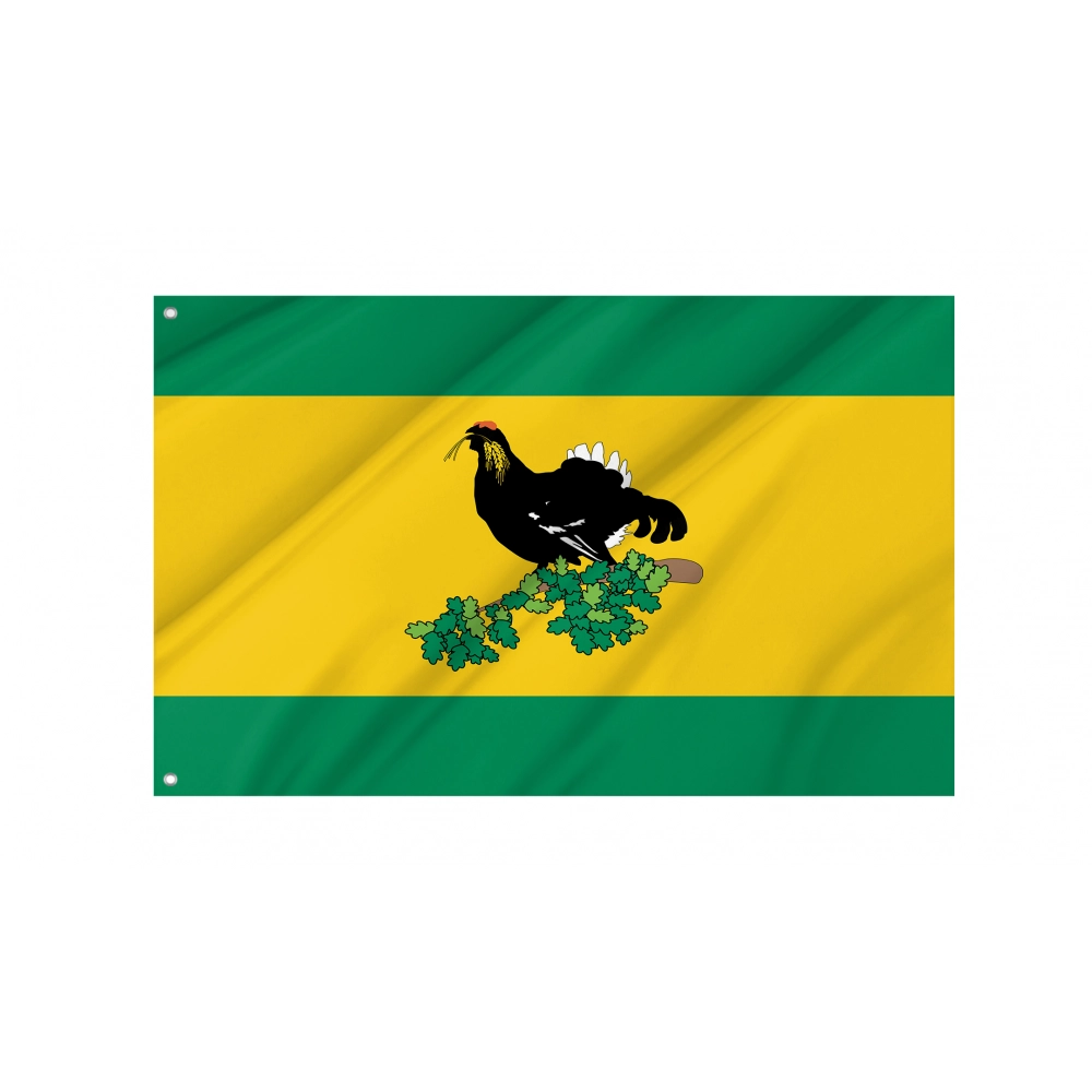 Kaltasinsky District Flag for Indoor & Outdoor Use