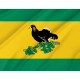 Kaltasinsky District Flag for Indoor & Outdoor Use - Imagine 2