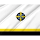 Kovdorsky District Flag for Indoor & Outdoor Use - Imagine 2