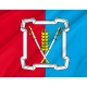 Kursky District Flag for Indoor & Outdoor Use - Imagine 2