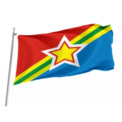 Kuybyshevsky District Flag for Indoor & Outdoor Use