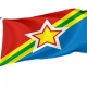 Kuybyshevsky District Flag for Indoor & Outdoor Use - Imagine 1