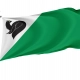 Flag of Megion, Unique Design Print, Flags for Indoor & Outdoor Use - Imagine 1