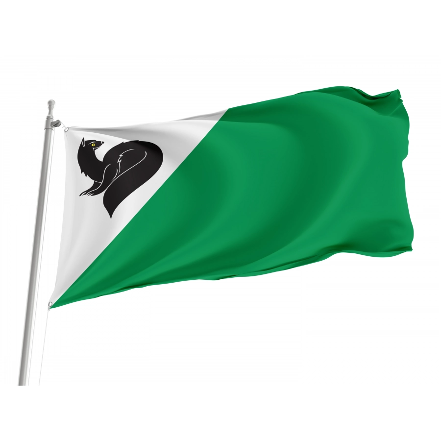 Flag Of Megion, Unique Design Print, Flags For Indoor & Outdoor Use - High Quality Russia for Indoor and Outdoor Use