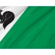 Flag of Megion, Unique Design Print, Flags for Indoor & Outdoor Use - Imagine 2