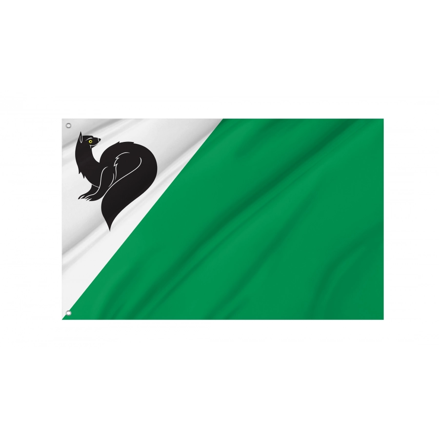 Flag Of Megion, Unique Design Print, Flags For Indoor & Outdoor Use - High Quality Russia for Indoor and Outdoor Use