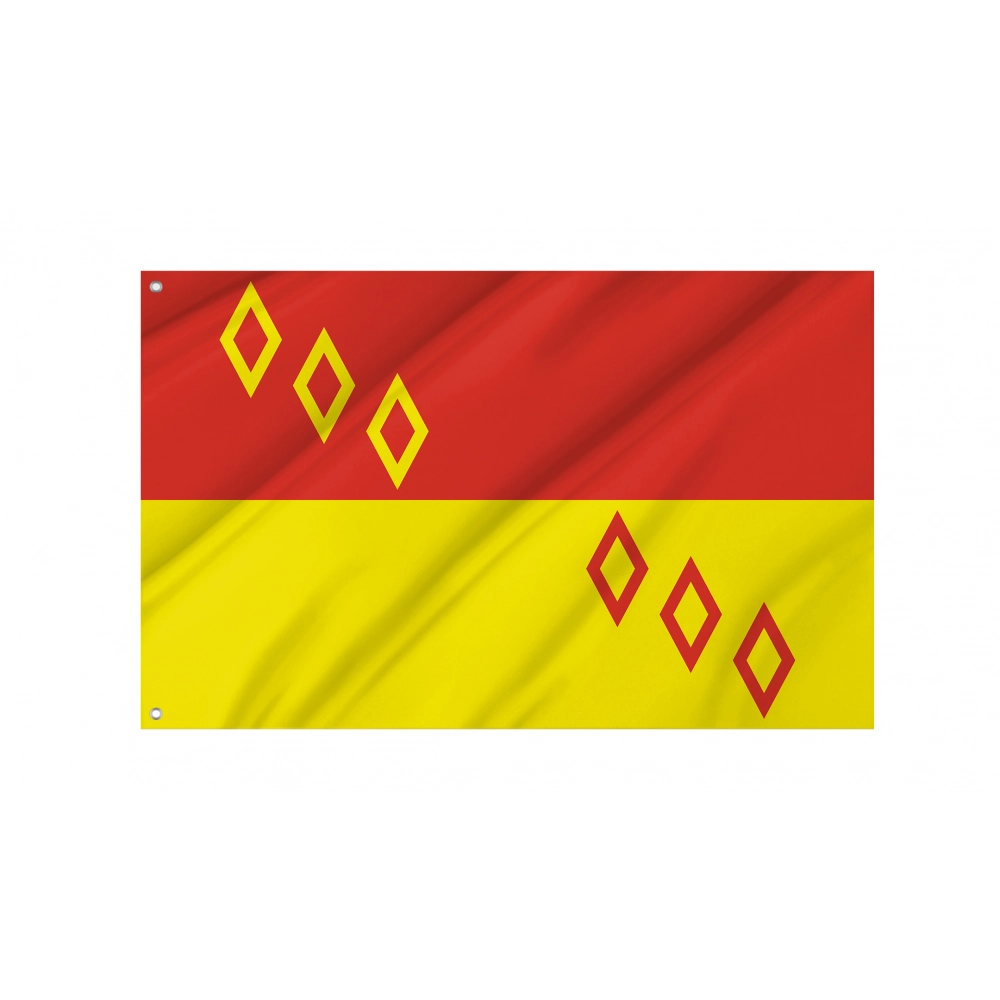 Noginsky District Flag for Indoor & Outdoor Use