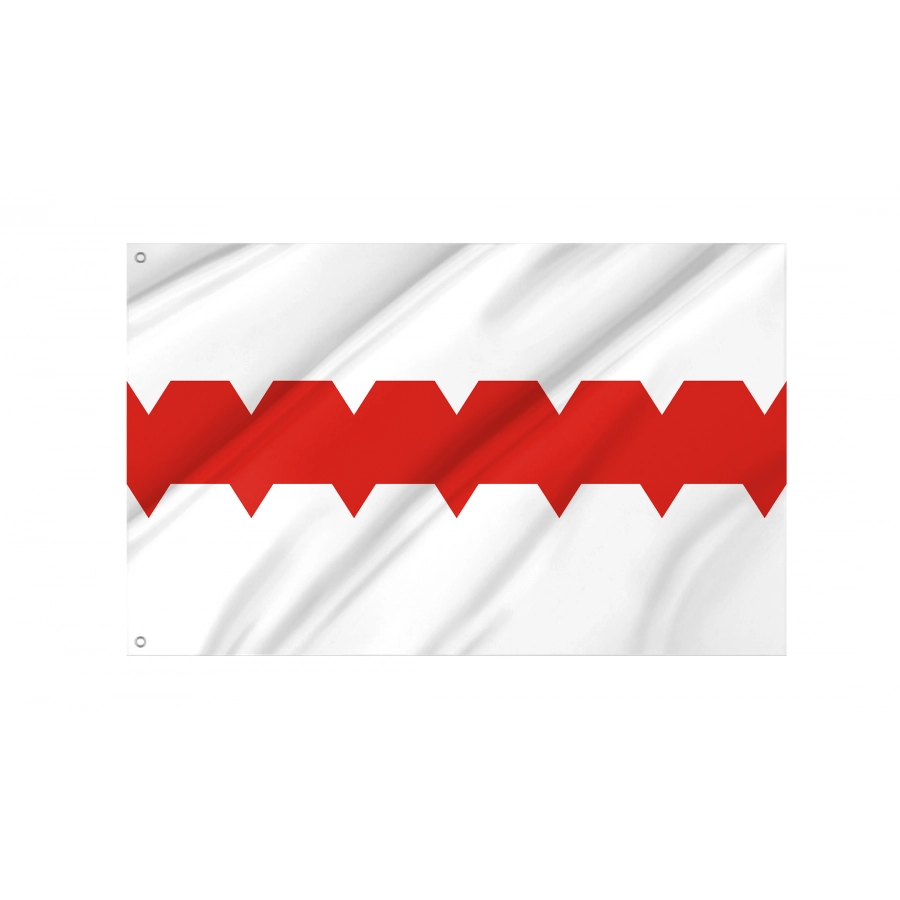 Flag Of Omsk, Patriotic Flags, Unique Design Print, Flags For Indoor & Outdoor Use - High Quality Russia for Indoor and Outdoor Use