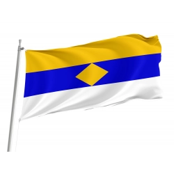 Ryajsky District Flag for Indoor & Outdoor Use