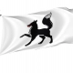 Salekhard Flag for Indoor & Outdoor Use - Imagine 1