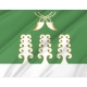 Sharansky District Flag for Indoor & Outdoor Use - Imagine 2