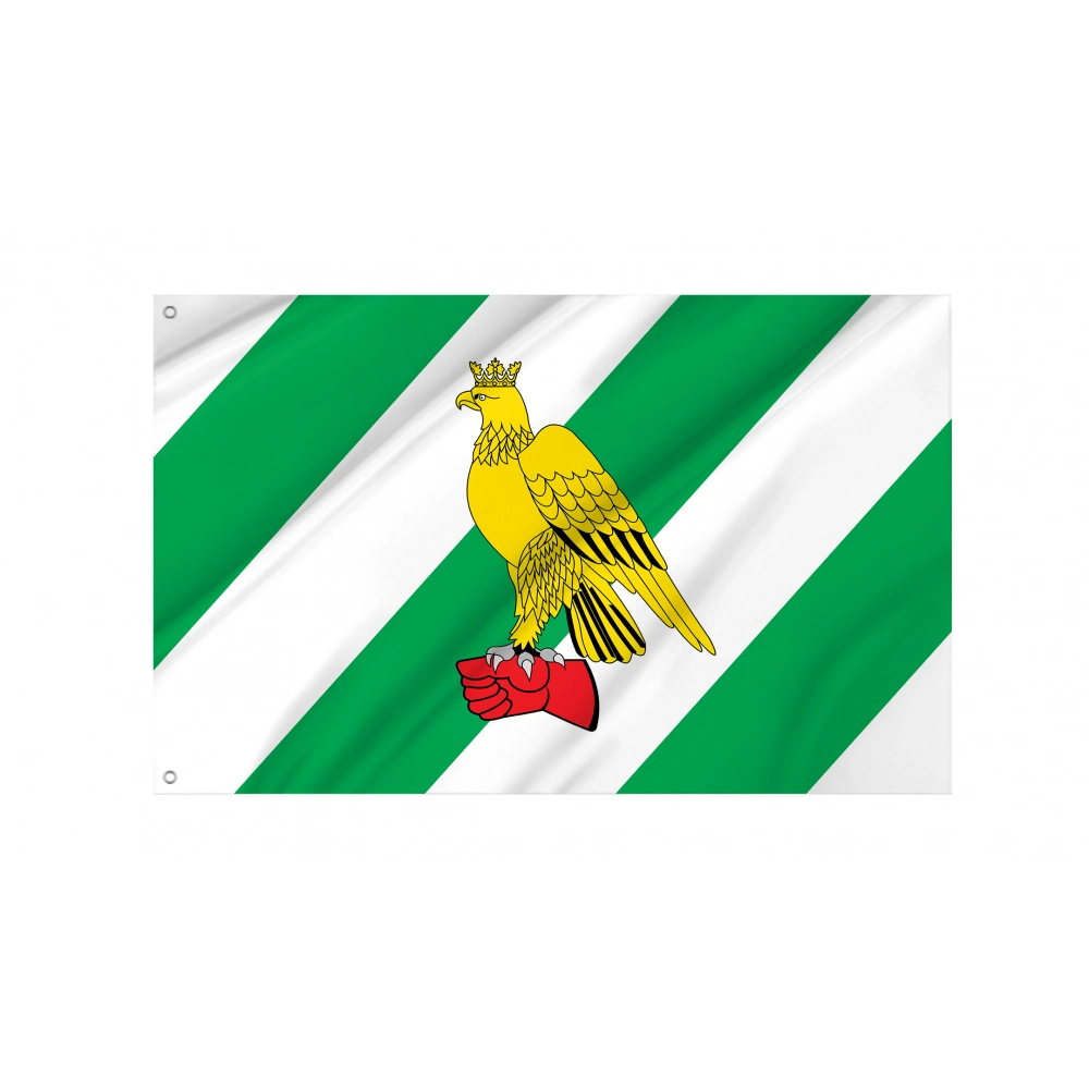 Sokolniki Municipal District Flag for Indoor & Outdoor Use