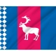 Tazovsky District Flag for Indoor & Outdoor Use - Imagine 2