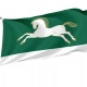 Uchalinsky District Flag for Indoor & Outdoor Use - Imagine 1