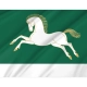 Uchalinsky District Flag for Indoor & Outdoor Use - Imagine 2