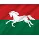Ufimsky Flag for Indoor & Outdoor Use - Imagine 2