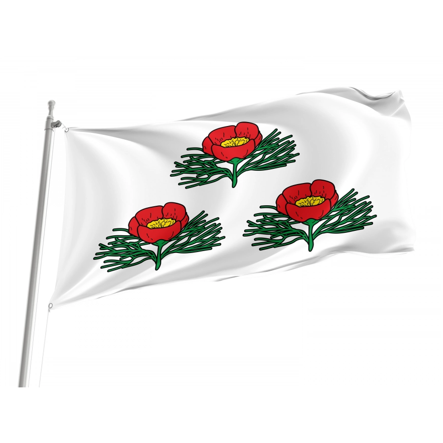 Flag Of Veydelevsky Region, Patriotic Flags, Unique Design Print, Flags For Indoor & Outdoor Use - High Quality Russia for Indoor and Outdoor Use