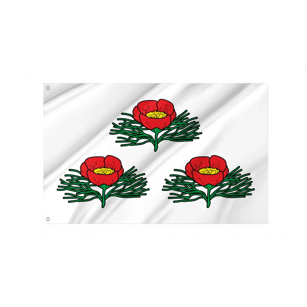 Veydelevsky District Flag for Indoor & Outdoor Use