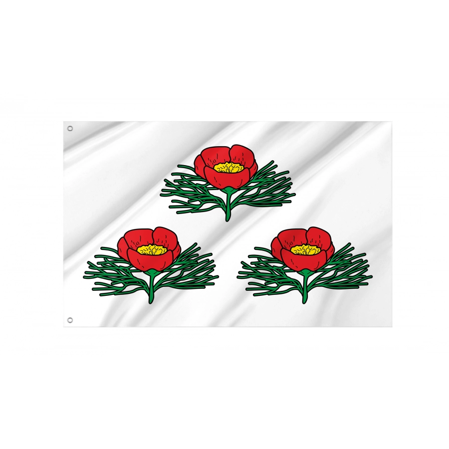 Flag Of Veydelevsky Region, Patriotic Flags, Unique Design Print, Flags For Indoor & Outdoor Use - High Quality Russia for Indoor and Outdoor Use