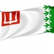 Volkhovsky District Flag for Indoor & Outdoor Use - Imagine 1