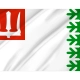 Volkhovsky District Flag for Indoor & Outdoor Use - Imagine 2